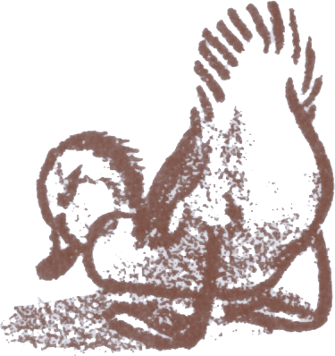 Illustration of Mrs. Mallard's duckling Nack