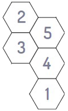 Five numb	ered hexagons