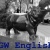 English Dept GWU