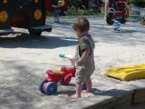 Click on one of the size names above to enlarge this image Click on one of the size names above to enlarge this image