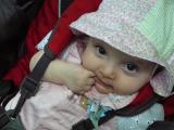 Click on one of the size names above to enlarge this image Click on one of the size names above to enlarge this image