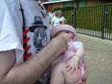 Click on one of the size names above to enlarge this image Click on one of the size names above to enlarge this image