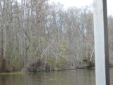 Click on one of the size names above to enlarge this image Click on one of the size names above to enlarge this image