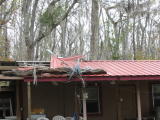Click on one of the size names above to enlarge this image Click on one of the size names above to enlarge this image