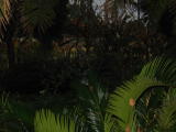 Click on one of the size names above to enlarge this image Click on one of the size names above to enlarge this image