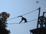 Click on one of the size names above to enlarge this image Click on one of the size names above to enlarge this image