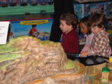 Click on one of the size names above to enlarge this image Click on one of the size names above to enlarge this image