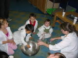 Click on one of the size names above to enlarge this image Click on one of the size names above to enlarge this image