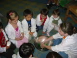 Click on one of the size names above to enlarge this image Click on one of the size names above to enlarge this image