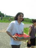 Click on one of the size names above to enlarge this image Click on one of the size names above to enlarge this image