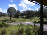 Click on one of the size names above to enlarge this image Click on one of the size names above to enlarge this image