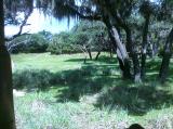 Click on one of the size names above to enlarge this image Click on one of the size names above to enlarge this image