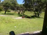 Click on one of the size names above to enlarge this image Click on one of the size names above to enlarge this image