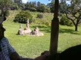 Click on one of the size names above to enlarge this image Click on one of the size names above to enlarge this image