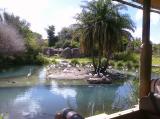 Click on one of the size names above to enlarge this image Click on one of the size names above to enlarge this image