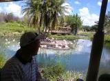 Click on one of the size names above to enlarge this image Click on one of the size names above to enlarge this image