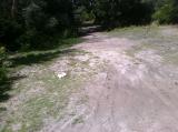 Click on one of the size names above to enlarge this image Click on one of the size names above to enlarge this image