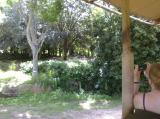 Click on one of the size names above to enlarge this image Click on one of the size names above to enlarge this image