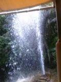 Click on one of the size names above to enlarge this image Click on one of the size names above to enlarge this image