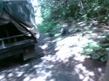 Click on one of the size names above to enlarge this image Click on one of the size names above to enlarge this image