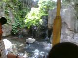 Click on one of the size names above to enlarge this image Click on one of the size names above to enlarge this image
