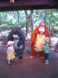 Click on one of the size names above to enlarge this image Click on one of the size names above to enlarge this image