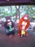 Click on one of the size names above to enlarge this image Click on one of the size names above to enlarge this image