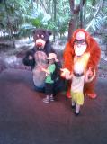 Click on one of the size names above to enlarge this image Click on one of the size names above to enlarge this image