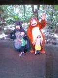 Click on one of the size names above to enlarge this image Click on one of the size names above to enlarge this image