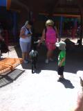 Click on one of the size names above to enlarge this image Click on one of the size names above to enlarge this image