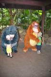 Click on one of the size names above to enlarge this image Click on one of the size names above to enlarge this image