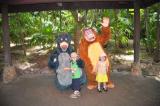 Click on one of the size names above to enlarge this image Click on one of the size names above to enlarge this image