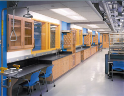 newly renovated undergraduate teaching laboratory
