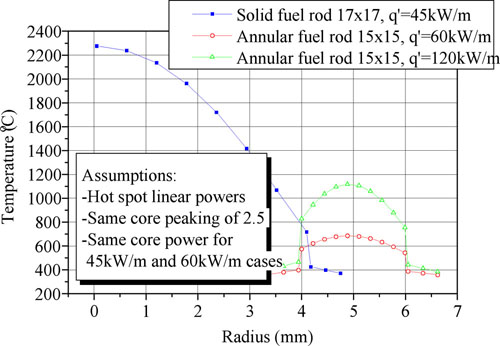 annular fuel rods