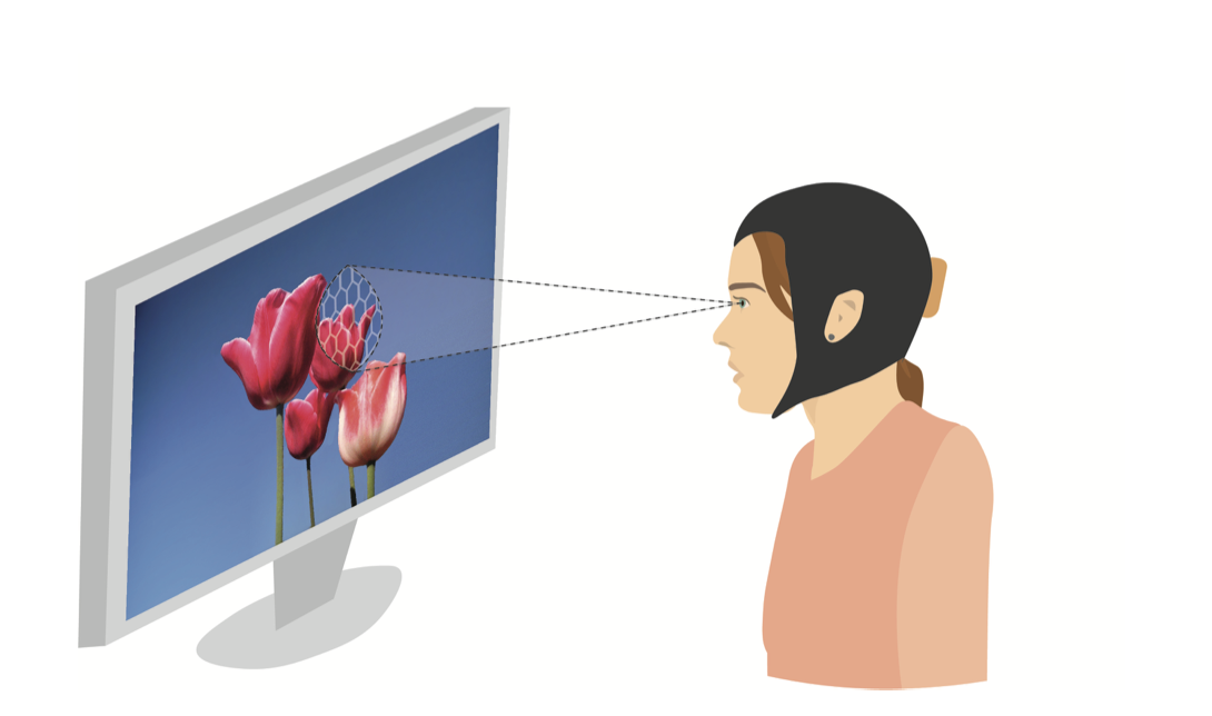 Education with VR/AI