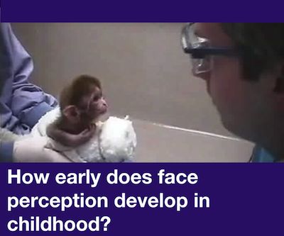 How early does face perception develop in childhood
