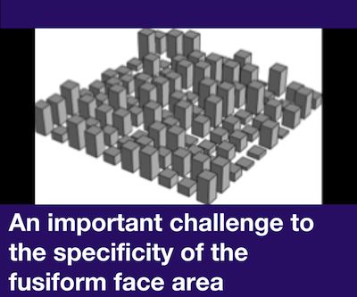 An important challenge to the specificity of the fusiform face area