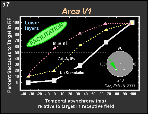 target selection with stimulation in lower layers of area V1