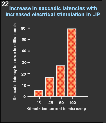 increase in saccadic latencies with increased electrical stimulation in LIP