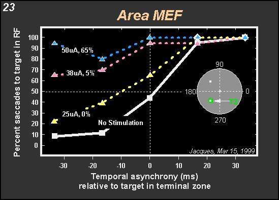 temporal asynchrony of target selection with electrical stimulation of area MEF