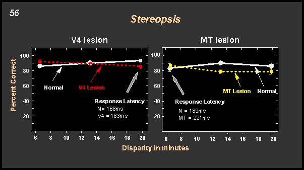 effects in stereopsis following V4 and MT lesions