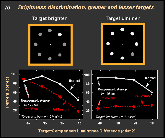 brightness discrimination, greater and lesser targets
