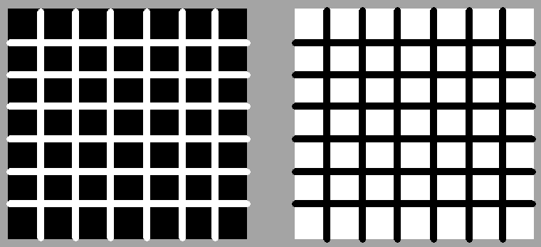 hermann grid illusion - reversed contrast