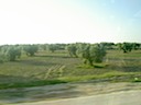 The landscape between Kairouan and Tunis