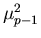 $ \mu_{p-1}^{2}$