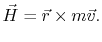 $\displaystyle \vec{H}=\vec{r}\times m\vec{v}.
$