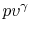 $ pv^\gamma$