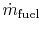 $ \dot{m}_\textrm{fuel}$