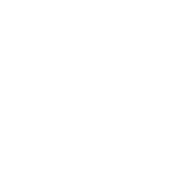 MIT DBF Logo