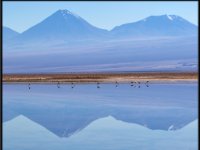 Atacama Desert17